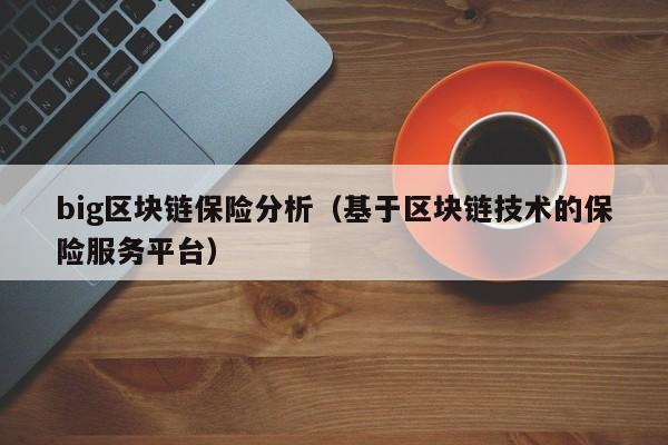 big区块链保险分析（基于区块链技术的保险服务平台）
